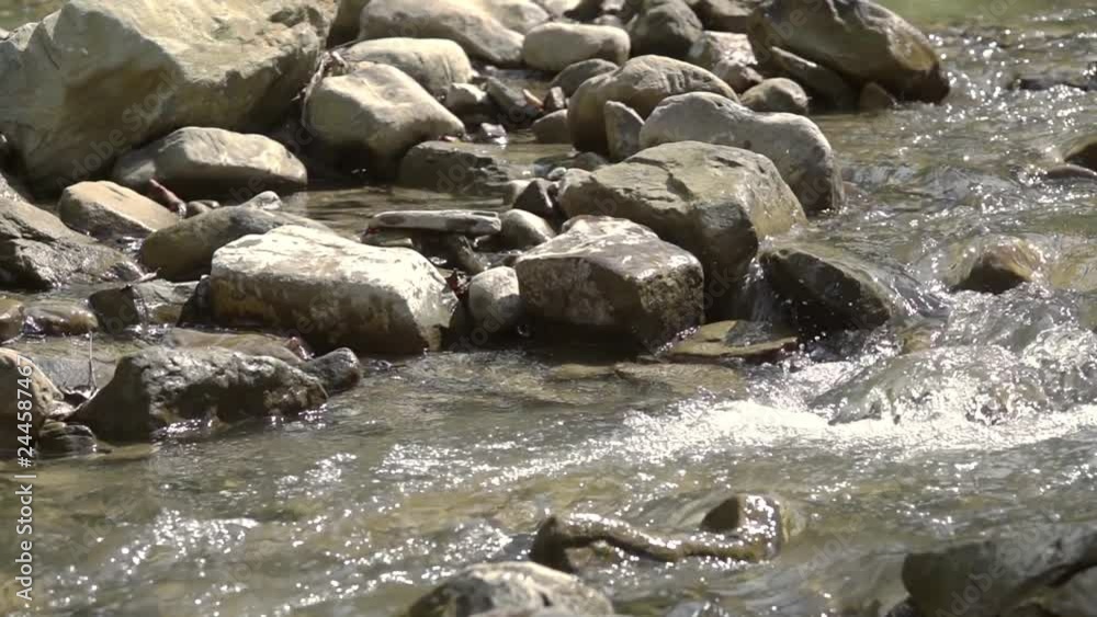 Mountain River in Sunny Weather. Slow Motion Mountain River in Sunny Weather. Slow Motion