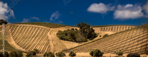 Paso Robles Winery photo