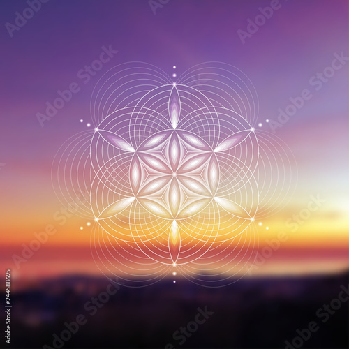 Vector template; Spiritual sacred geometry; Abstract geometric shape based on ancient symbol - "flower of life" on psychedelic natural photographic background; Yoga, meditation and relax.