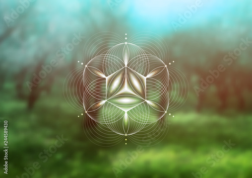 Vector template; Spiritual sacred geometry; Abstract geometric shape based on ancient symbol - "flower of life" on psychedelic natural photographic background; Yoga, meditation and relax.