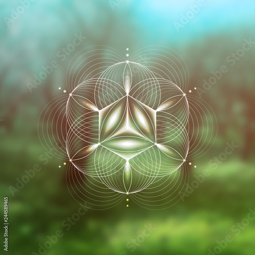 Vector template; Spiritual sacred geometry; Abstract geometric shape based on ancient symbol - "flower of life" on psychedelic natural photographic background; Yoga, meditation and relax.