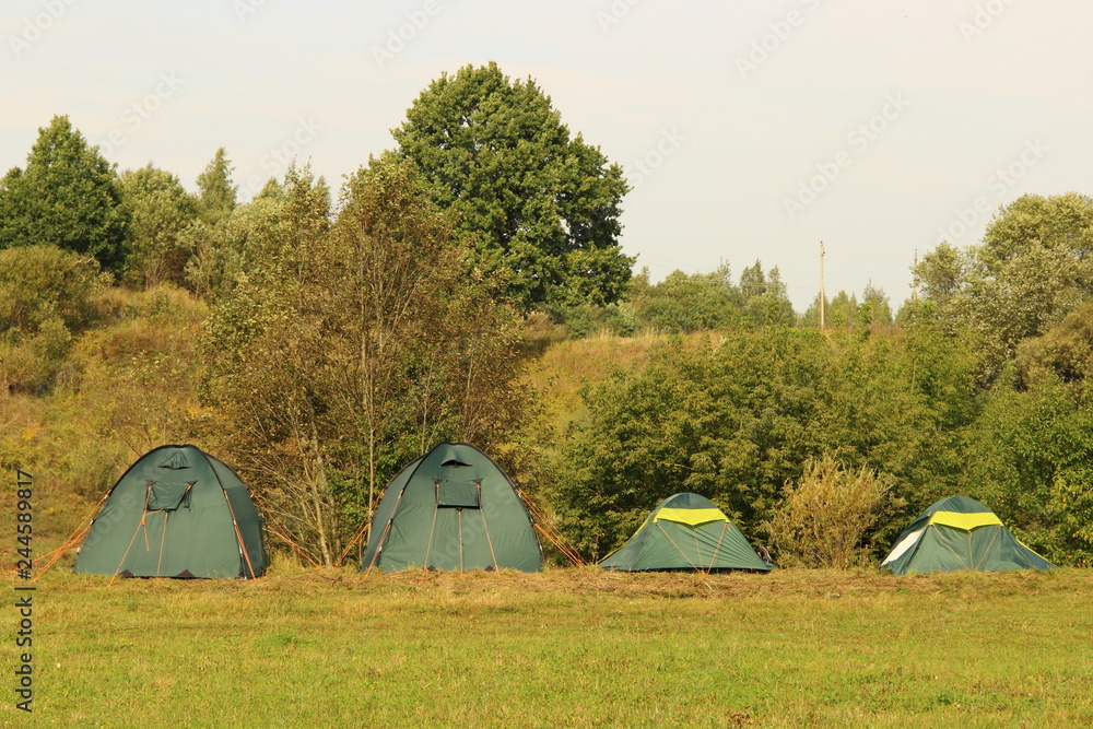 In line four green camp tents on the green grass on the forest background on summer day - beautiful nature landscape, sports tourism, camping, scouting
