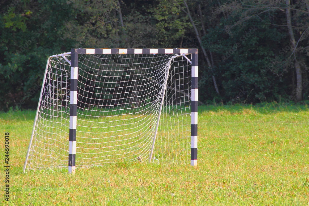 Fototapeta premium Empty football goal in a clearing against the forest on a Sunny summer day - sports, outdoor activities, equipment