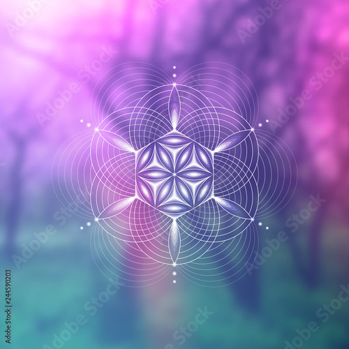 Vector template; Spiritual sacred geometry; Abstract geometric shape based on ancient symbol - 