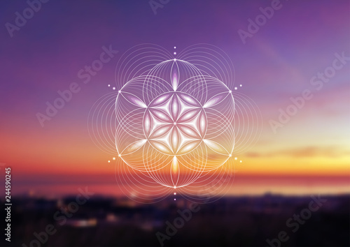 Vector template; Spiritual sacred geometry; Abstract geometric shape based on ancient symbol - "flower of life" on psychedelic natural photographic background; Yoga, meditation and relax.