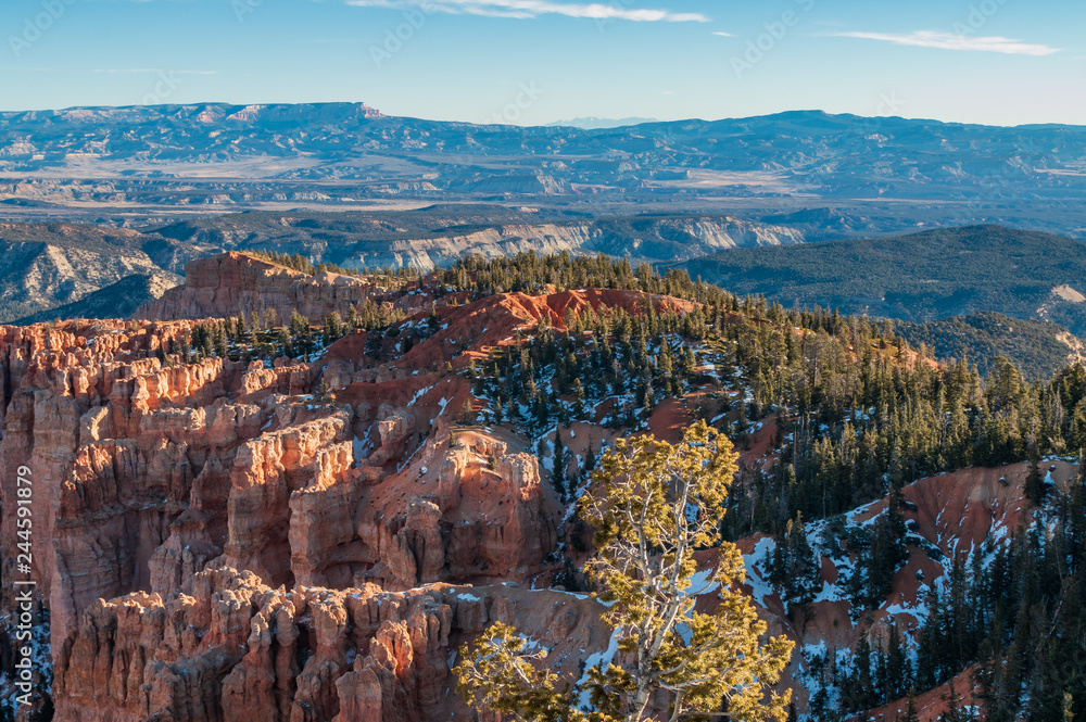 Bryce Canyon Utah Winter Landscape