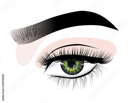 Hand-drawn womans sexy luxurious eye with perfectly shaped eyebrows and full lashes. Eyebrow styling, eyelash extensions. Idea for business visit card, typography vector. Perfect salon look.