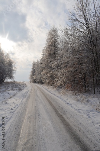 snowy road in winter forest © Katarzyna