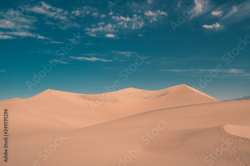 Dune Vibes