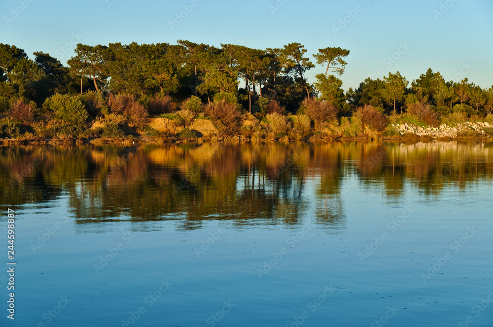 Lake and forest near Ria Formosa in Algarve, Portugal Lake and forest near Ria Formosa in Algarve, Portugal