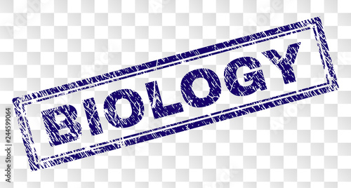 BIOLOGY stamp seal print with grunge style and double framed rectangle shape. Stamp is placed on a transparent background. Blue vector rubber print of BIOLOGY text with grunge texture.