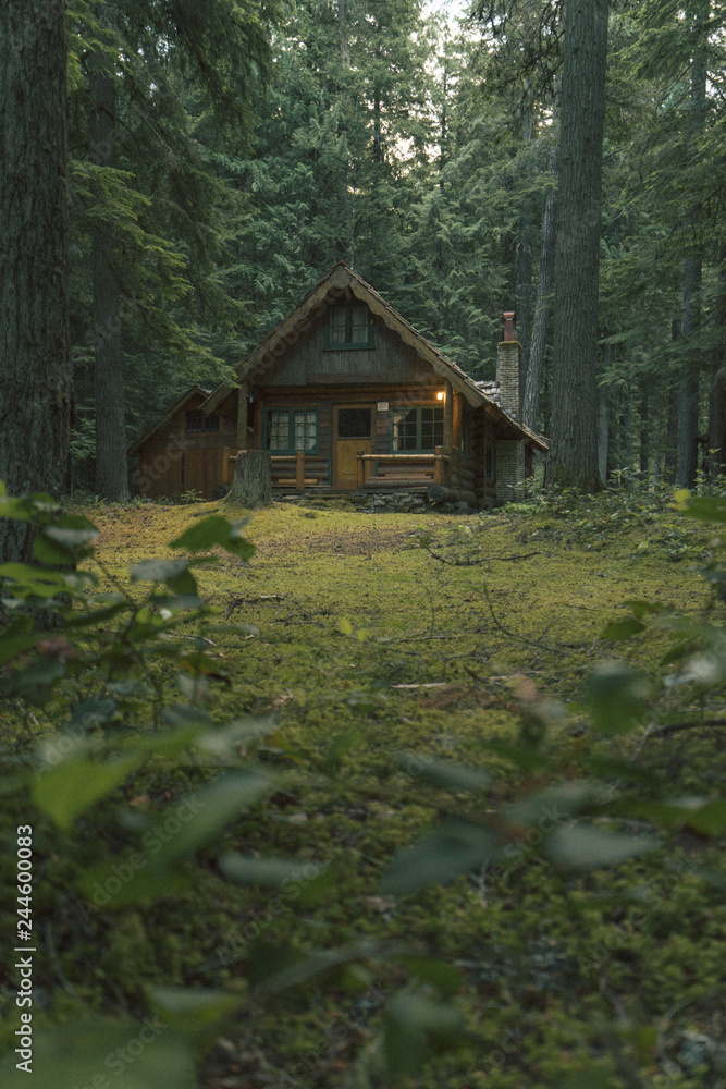 Cabin in the Woods