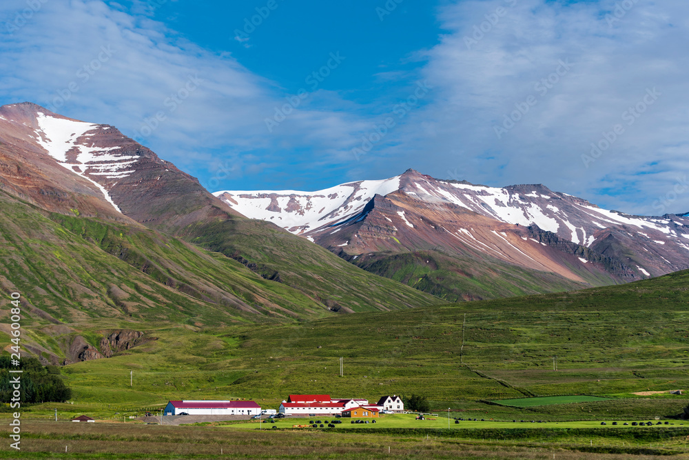 Typical Icelandic farm in the green valley underneath snowy mountains in Northern of Iceland.