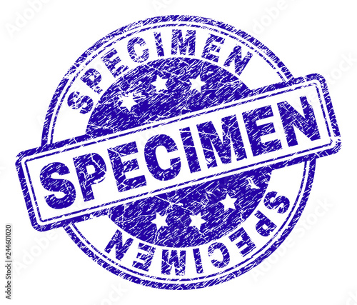 SPECIMEN stamp seal watermark with grunge texture. Designed with rounded rectangles and circles. Blue vector rubber print of SPECIMEN title with dust texture.
