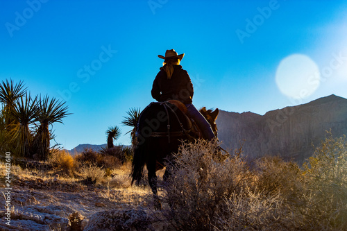 Desert trail ride