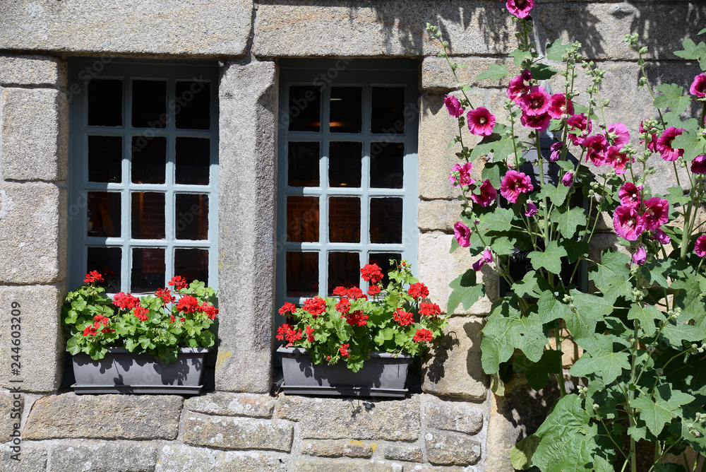 Blumenfenster in Locronan, Bretagne