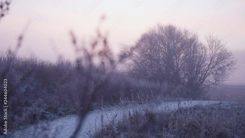 Winter lansdscape Winter lansdscape