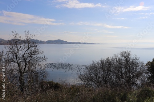 ETANG DE BERRE - BOUCHES DU RHONE - FRANCE