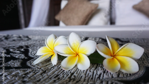 Balinese flowers in interior design photo