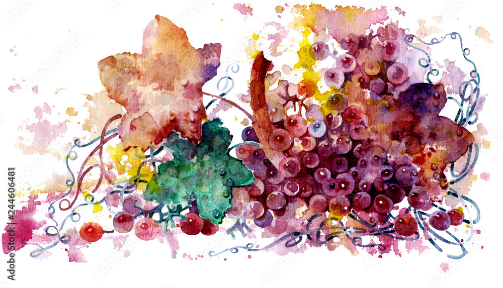 Grapes on white background. Bunch of grapes. Watercolor illustration. Beautiful fruits painted in watercolor. - obrazy, fototapety, plakaty 