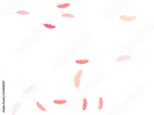 Detailed majestic feather on white design.