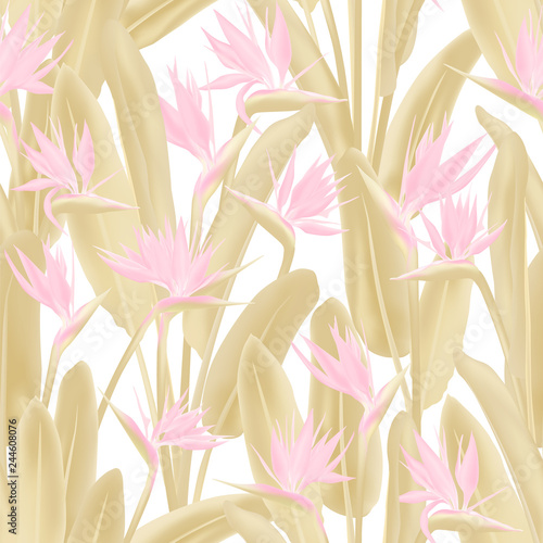 Strelitzia reginae tropical flower vector seamless pattern. Jungle plant paradise tropical summer fabric design. South African plant tropical blossom of crane flower, strelitzia. Floral wallpaper.