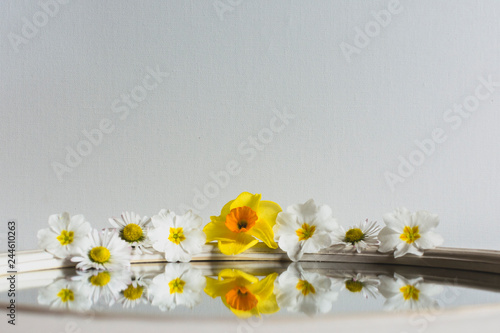 Mirror with Spring Flowers