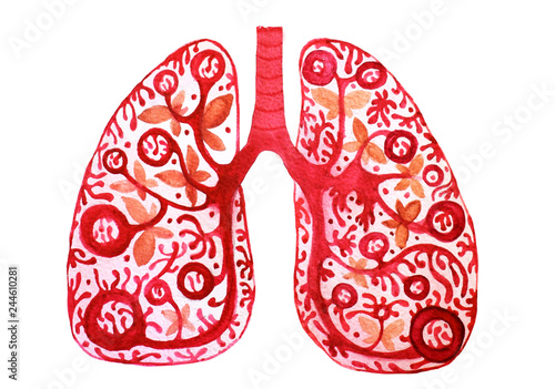 Watercolor illustration of a man's lungs with flowers, bronchial tree, healthy lungs, watercolor, red leaves. illustration of lungs. Doodle drawing of human organ  by hand. Medicine.