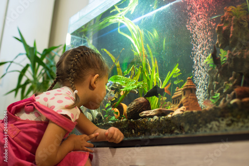 Photography girl child looks at the fish in the aquarium