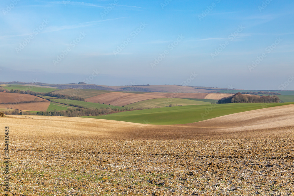 Rolling countryside in Sussex on a sunny winter day