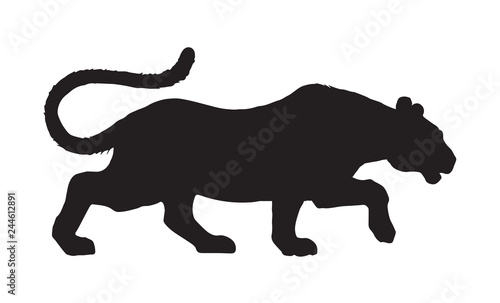 Panther. Vector drawing