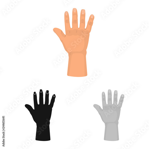 Vector illustration of body and part sign. Set of body and anatomy vector icon for stock.