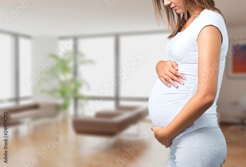 Human pregnancy. Free Download Human pregnancy. - GFXLoad