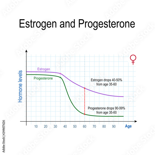 Estrogen, progesterone and aging