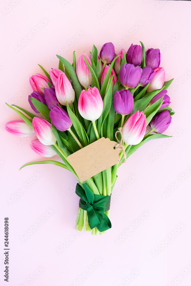 Fototapeta premium Pink fresh tulips