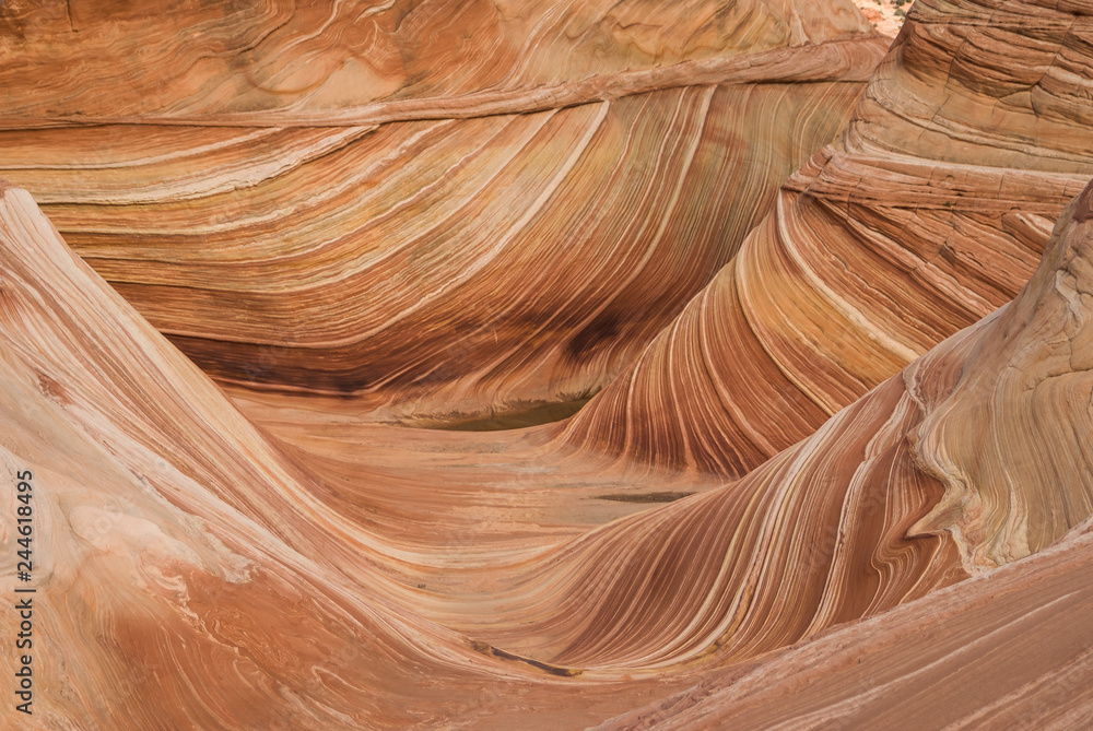 Rocky Waves Rocky Waves