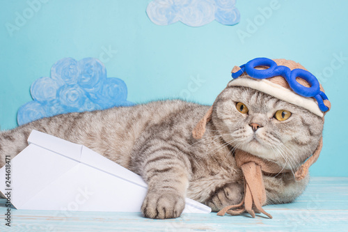Lying cute cat in a pilot's hat with glasses and a scarf, with an airplane. Funny cat © Anton