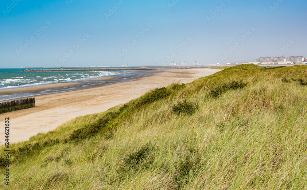 Beach, summer and paysage concept: view of the beach, vegetation on the dunes and wooden breakwater on the north sea.Oye-Plage in France.