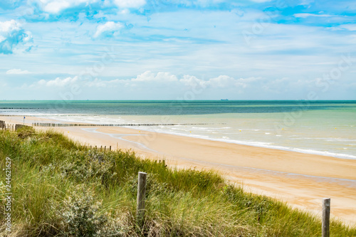 Beach  summer and paysage concept  view of the beach  vegetation on the dunes and wooden breakwater on the north sea.Oye-Plage in France.