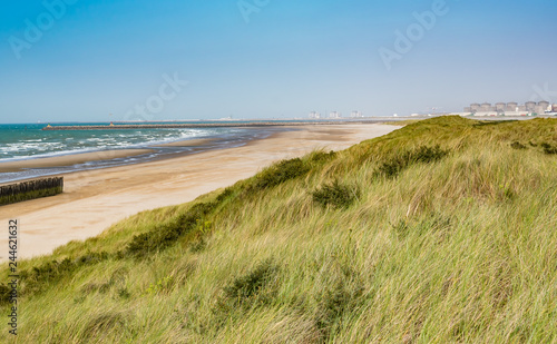 Beach, summer and paysage concept: view of the beach, vegetation on the dunes and wooden breakwater on the north sea.Oye-Plage in France.