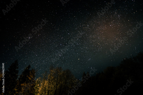 Beautiful night sky with many stars shining over the pine tree forest in the mountains