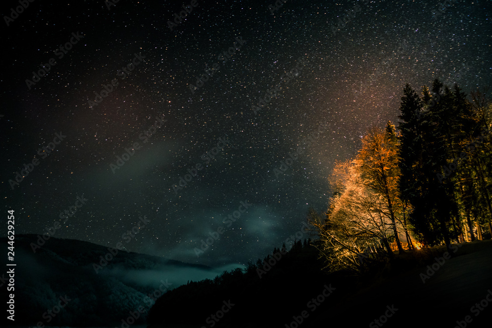 Amazing night sky with many stars shining over the pine tree forest in the mountains in the winter