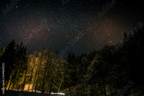 Beautiful night sky with many shining stars over the green pine tree forest