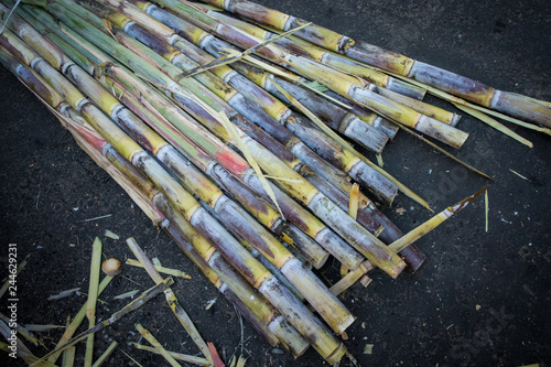 Fototapeta Naklejka Na Ścianę i Meble -  Raw Sugar Cane at Market in Mexico City