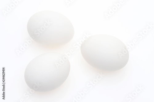 卵 玉子