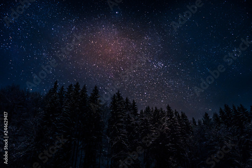 Scenic view of beautiful purple night sky with many shining stars over the fir forest in the snowy mountains. Galaxy