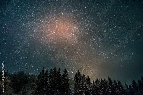 Amazing night sky with many shining stars over the pine tree forest in winter. Galaxy