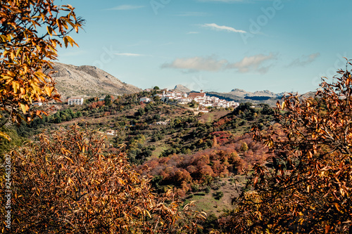 View of remote town on highlands in mountains with bright autumnal vegetation in sunlight. Cartajima in Malaga, Spain