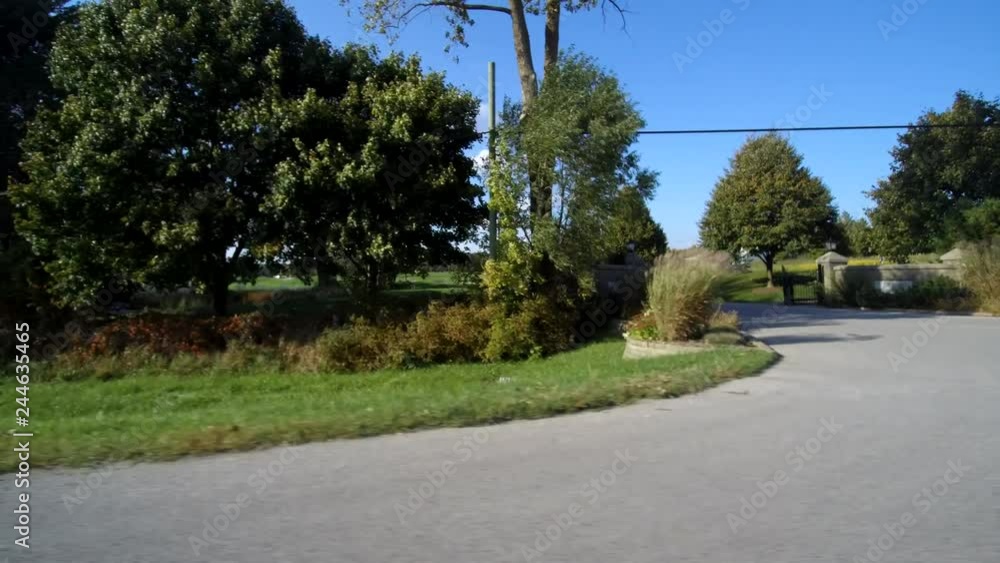 Trees On Side Of Road First Person View Trees On Side Of Road First Person View