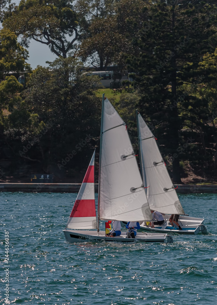 Fototapeta premium Sailing on the Harbour
